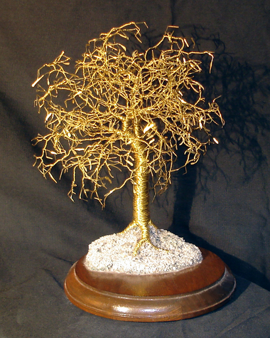 Gold Leaf Maple