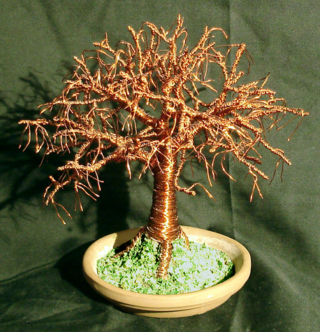 Elm on Terracotta Base
