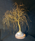 Click to view classifieds YFLBPXWU
