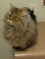 Click to view classifieds QAXOPXUD