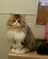 Click to view classifieds GZYRAMJD