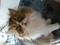 Click to view classifieds GJMLSWYP