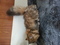 Click to view classifieds UHEFOVQF