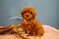 Click to view classifieds VFQLTJXD