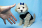 Click to view classifieds KYQBLOZH