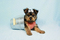 Click to view classifieds LWYFBURC