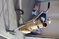 Click to view classifieds UKKDLDHP