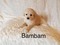 Click to view classifieds KEEJKTBV