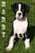 Click to view classifieds QVSUMYBK