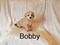 Click to view classifieds FBFPVBBM