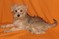 Click to view classifieds UNQCEVYB
