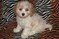 Click to view classifieds TYVNKNQG