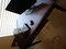 Click to view classifieds DHROBGGL