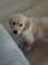 Click to view classifieds ZTQKLWBU
