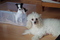 Click to view classifieds LQZKMLHJ