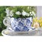 Click to view classifieds OUGNLSHF