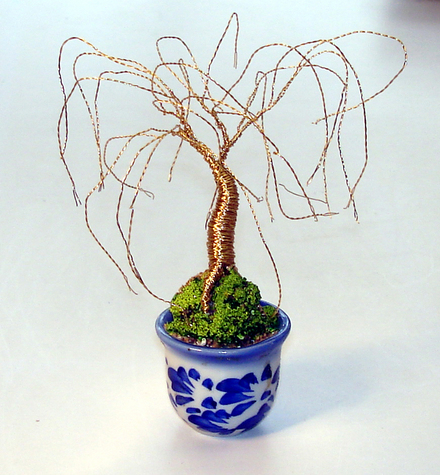 Mini Gold Willow