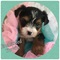 Click to view classifieds WFWDFUWA