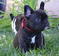 Click to view classifieds YPOSJBSH
