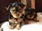 Click to view classifieds QXYTWXYK