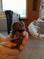 Click to view classifieds AWLEZUSG