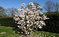 Click to view classifieds HQCUBOND