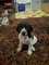 Click to view classifieds TBRWOGQK