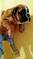 Click to view classifieds LUSOPYTY