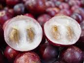 Camu