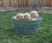 Click to view classifieds MTWGOUTS