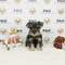 Click to view classifieds ZEEFPYKA