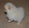 Click to view classifieds UMLQLUJK