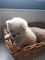 Click to view classifieds NAVQSDTU