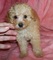 Click to view classifieds CNECMBWP