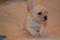 Click to view classifieds GSGTXPXT