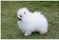 Click to view classifieds XZLWBRGF