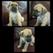 Click to view classifieds RXFMLWPM