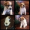 Click to view classifieds KMMOPRBS