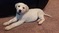 Click to view classifieds WNCKXQWN
