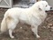 Click to view classifieds YYOTVJOQ