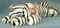 Click to view classifieds ZTYTZSJB
