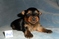 Click to view classifieds LEGNKSOL