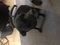 Click to view classifieds DUSCHMCG