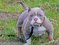 Click to view classifieds FEXLFNUU