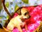 Click to view classifieds KNBFXFEQ