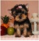 Click to view classifieds SHQPJDDA