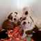 Click to view classifieds HTUTOMEY