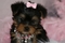 Click to view classifieds CDYGXWXG