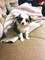 Click to view classifieds XWHEEFGQ
