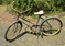 Click to view classifieds NLCCWOCD